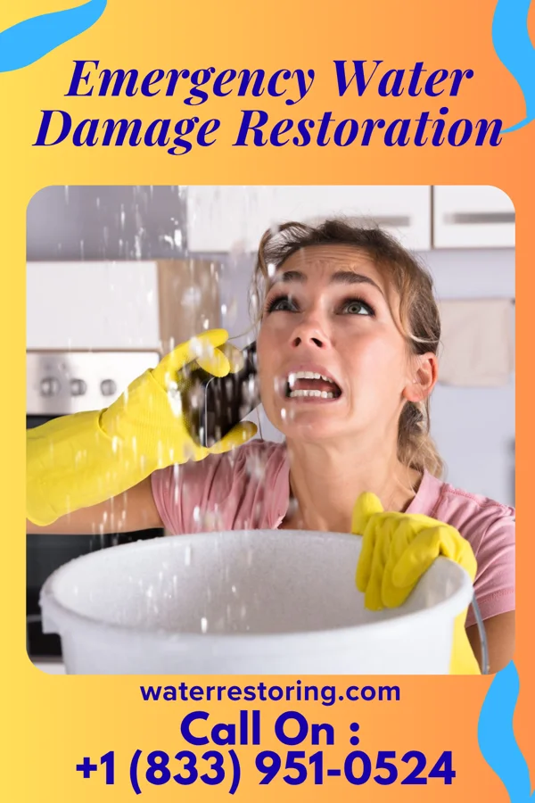 Emergency Water Damage Restoration in De Smet, ID