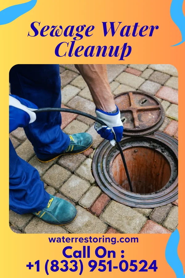 Sewage Water Cleanup in De Smet, ID